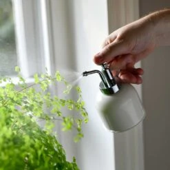 Indoor Plant Mister - Stone -Plant potted plants Plant Mister Stone Houseplants