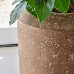 Polystone Coated Plain Coppa Planter - Rock -Plant potted plants Polystone Coated Plain Coppa Planter Rock 1