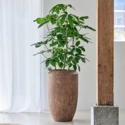 Polystone Coated Plain Coppa Planter - Rock -Plant potted plants Polystone Coated Plain Coppa Planter Rock 3