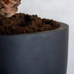 Jesslyn Natural Planter - Black -Plant potted plants ProductsJesslynNaturalPlanter Black 2