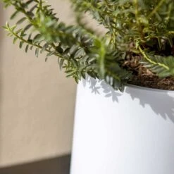 Puk Essentials Planter - Matt White -Plant potted plants Puk Planter Matt White Close Up
