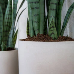 Puk Refined Planter - Natural White 20 Puk Refined Planter - Natural White -Plant potted plants Puk Refined Planter Natural White Lifestyle 002