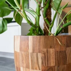 Quinn Planter - Natural -Plant potted plants Quinn Natural 2