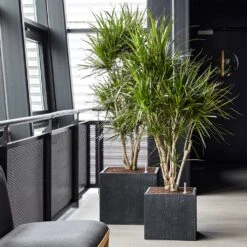 Raindrop Cube Planter - Anthracite -Plant potted plants Raindrop Cube Anthracite