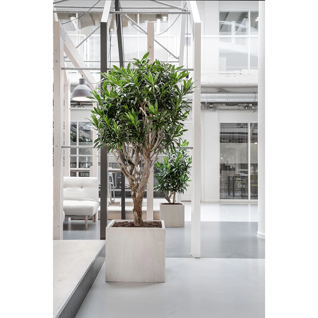 Raindrop Cube Planter - Stone 12 Raindrop Cube Planter - Stone - Image 10