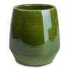 Remi Plant Pot - Green 2 Remi Plant Pot - Green -Plant potted plants Remi Plant Pot Green 15x15cm