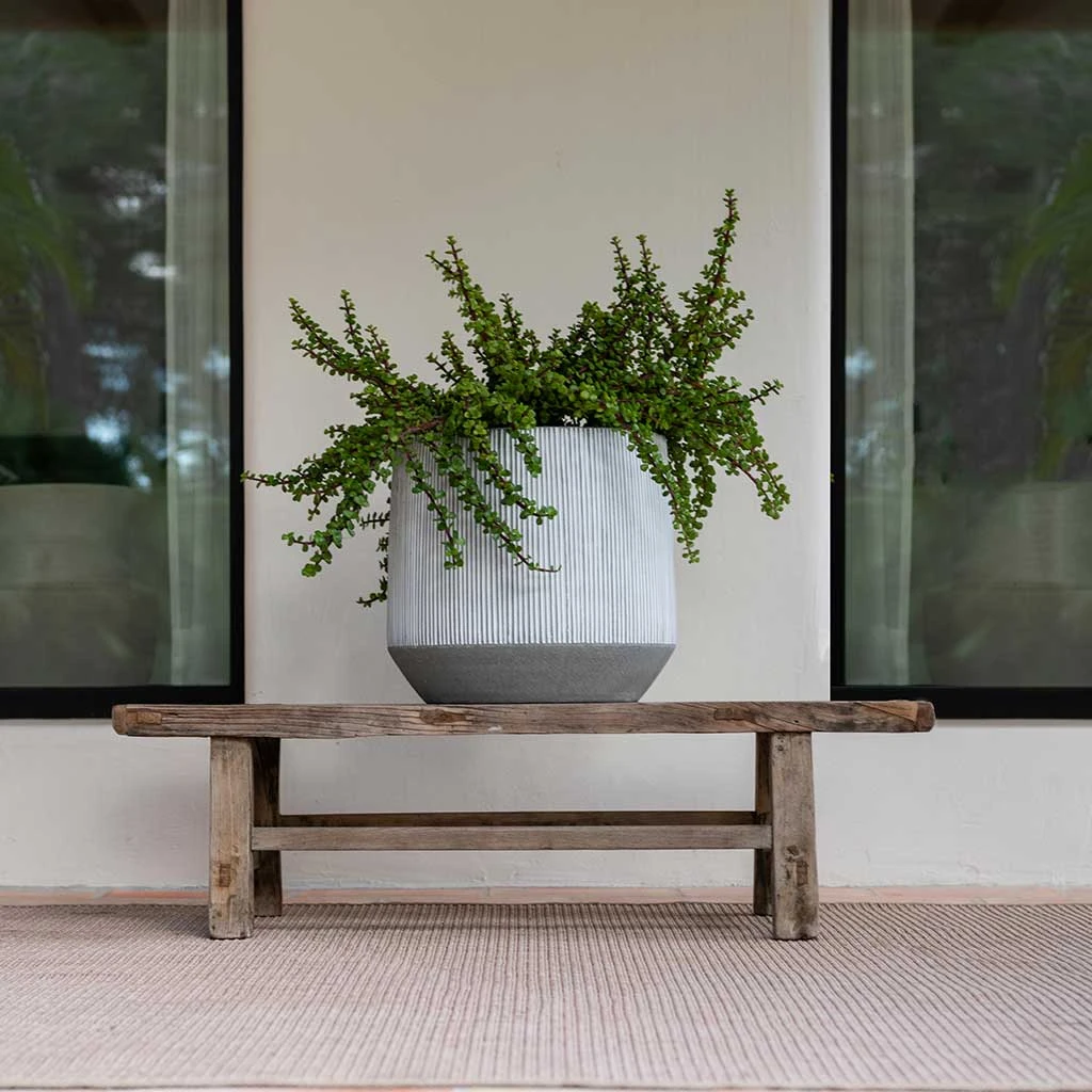 Harith Plant Pot - Ridged White Stripe 4 Harith Plant Pot - Ridged White Stripe - Image 2