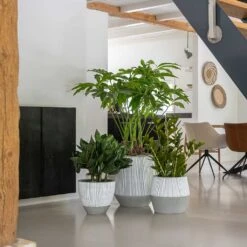 Jesslyn Plant Pot - Ridged White Stripe -Plant potted plants Ridged White Stripe Planters 3de83b96 a949 4c68 9448 371e9a4f6605