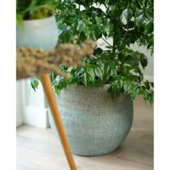 Ryan Plant Pot - Blue Gold -Plant potted plants Ryan Plant Pot Blue Gold Houseplants