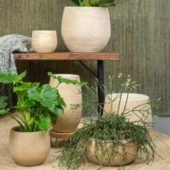 Ryan Plant Pot - Sand Gold -Plant potted plants Ryan Plant Pot Sand Gold