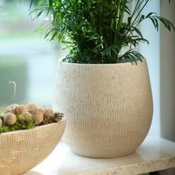 Ryan Plant Pot - Sand Gold -Plant potted plants Ryan Plant Pot Sand Gold Parlour Palm