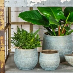 Ryan Plant Pot - Blue Gold -Plant potted plants RyanPlantPot BlueGold 2 min