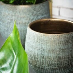 Ryan Plant Pot - Blue Gold -Plant potted plants RyanPlantPot BlueGold 3 min