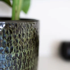 Sanna Plant Pot - Moss Green -Plant potted plants Sanna Moss Green 5