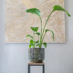 Sanna Plant Pot - Moss Green -Plant potted plants Sanna Moss Green 7