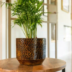 Sanna Plant Pot - Savanna -Plant potted plants Sanna Savana 4