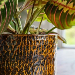 Sanna Plant Pot - Savanna -Plant potted plants Sanna Savana 6