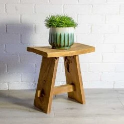 Senecio Himalaya - Himalaya Groundsel 25 Senecio Himalaya - Himalaya Groundsel -Plant potted plants Senecio Himalaya Himalaya Groundsel alice ocean plant pot natural a0e2c2c9 2ffa 4495 a6e2 0a94fbfddd15