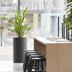 Solid Cylinder Planter - Dark Grey -Plant potted plants Solid Cylinder Planter Dark Grey 3