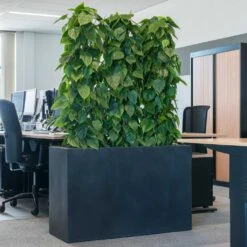 Solid Rectangle Planter - Dark Grey -Plant potted plants Solid Rectangle Planter Dark Grey 1