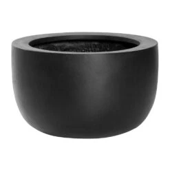Sunny Natural Bowl Planter - Black -Plant potted plants Sunny Natural Planter Black 33x20cm