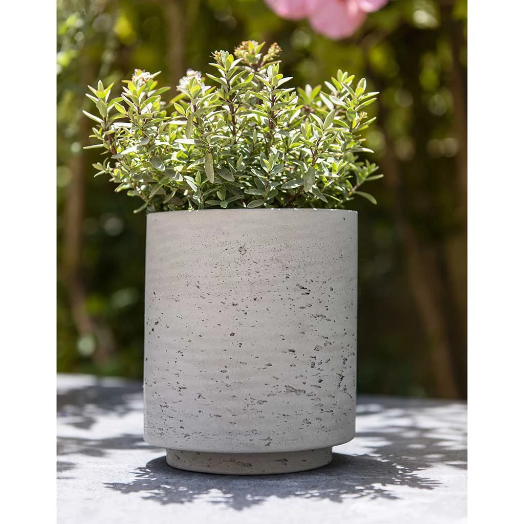 Suzi Plant Pot - Grey Washed 14 Suzi Plant Pot - Grey Washed - Image 12