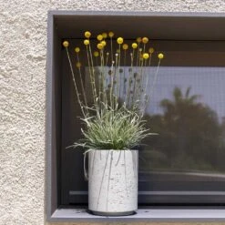 Suzi Plant Pot - Grey Washed 25 Suzi Plant Pot - Grey Washed -Plant potted plants Suzi Plant Pot Grey Washed Outdoor Plants