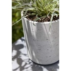 Suzi Plant Pot - Grey Washed 30 Suzi Plant Pot - Grey Washed -Plant potted plants Suzi Plant Pots Grey Washed Close Up