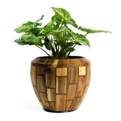 Facets Couple Planter - Jenga -Plant potted plants Syngonium nephphytis Arrow Arrow Plant Facets Couple Planter Jenga