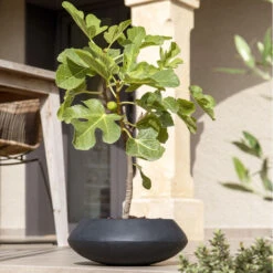 Tara Natural Bowl Planter - Black -Plant potted plants TaraNaturalPlanter Black 3