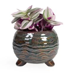 Dewi Plant Pot - Marrakesh -Plant potted plants Tradescantia albiflora Nanouk Fantasy Venice 12x20cm Dewi Plant Pot Marrakesh 18x14cm ab7664e9 3f12 40d0 8c91 8405f298b238