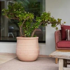 Treasure Nika Planter - Brick Orange 8 Treasure Nika Planter - Brick Orange -Plant potted plants Treasure Nika Planter Brick Orange Lifestyle1