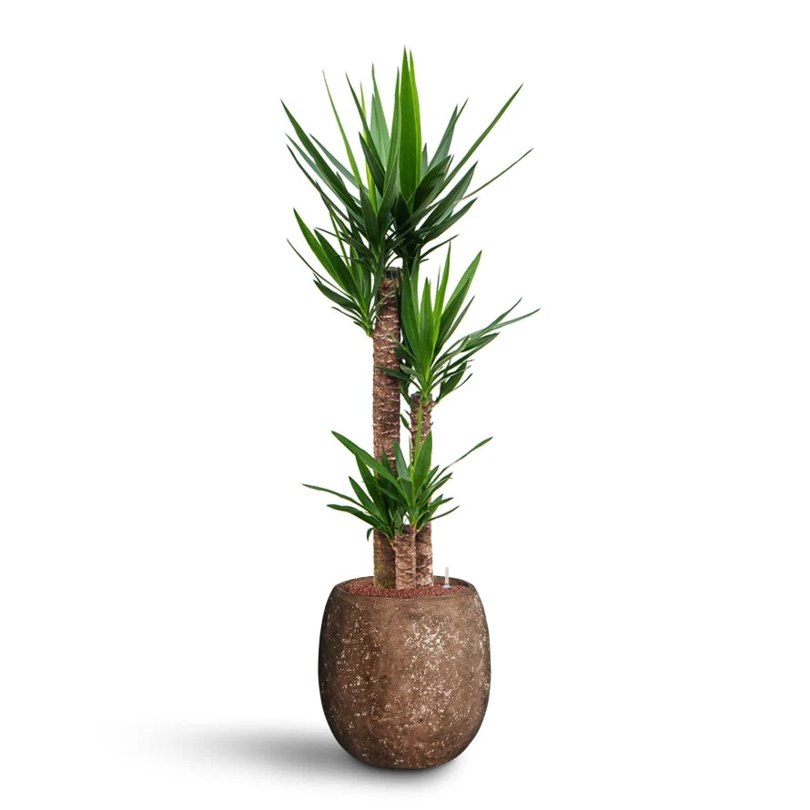 Polystone Coated Plain Balloon Planter - Rock 4 Polystone Coated Plain Balloon Planter - Rock - Image 2