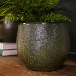 Zembla Plant Pot - Green -Plant potted plants Zembla Plant Pot Collection Fern