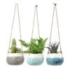 Baby Dotty Hanging Indoor Pot Trio -Plant potted plants baby dotty hanging plant pots trio