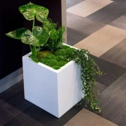 Block Essentials Planter - Matt White -Plant potted plants block planter essential matte white indoor plants cube
