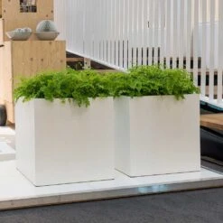 Block Essentials Planter - Matt White -Plant potted plants block planters essential matte white indoor ferns