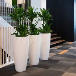 Dax Essentials Tall Planter - Matt White -Plant potted plants dax planter essential matte white open plan office
