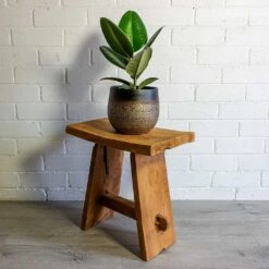 Mya Plant Pot - Deep Champagne -Plant potted plants mya deep champagne plant pot Ficus elastica Robusta