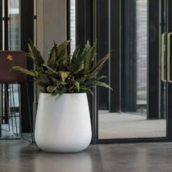 Pax Essentials Planter - Matt White -Plant potted plants pax planter essential matte white office plants