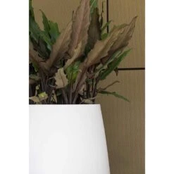 Pax Essentials Planter - Matt White -Plant potted plants pax planters essential matte white clos up