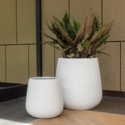 Pax Essentials Planter - Matt White -Plant potted plants pax planters essential matte white office plants