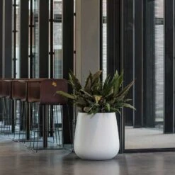Pax Essentials Planter - Matt White -Plant potted plants pax planters essential matte white office reception plants